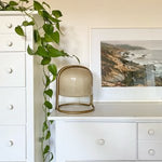 Load image into Gallery viewer, Delvora Contemporary Dome Shade Table Lamp – Perfect for Nightstands & Reading Corners