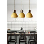 Load image into Gallery viewer, Jielde Dante Pendant Lamp