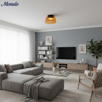 Cargar imagen en el visor de la Galería, Lámpara de techo Verdoma multicapa con forma de cuenco: vidrio minimalista moderno para salas de estar y comedores.