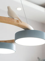 Load image into Gallery viewer, Modern Creative Colourful Circle Bird Chandelier
