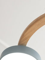 Load image into Gallery viewer, Modern Creative Colourful Circle Bird Chandelier