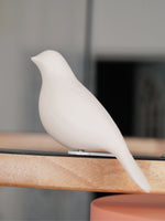 Load image into Gallery viewer, Modern Creative Colourful Circle Bird Chandelier