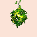 Charger l'image dans la visionneuse de galerie, Suspension Verdeleia à plusieurs niveaux ornée de plantes – Lampe suspendue moderne pour la décoration intérieure