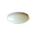 Load image into Gallery viewer, Wickes Flush Ceiling Light