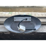 Load image into Gallery viewer, Scorpius Outdoor Wall Lamp