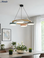 Load image into Gallery viewer, Modern Creative Colourful Circle Bird Chandelier