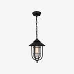 Charger l'image dans la visionneuse de galerie, Patnox Outdoor Glass Pendant Lamp - Black finish
