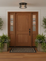 Load image into Gallery viewer, Ferrix Glass Outdoor Ceiling Light – Industrial Style For Porche