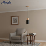 Cargar imagen en el visor de la Galería, Lámpara colgante cilíndrica Verdoma Playful Macaron - Cadena ajustable para iluminación de hogar y cafetería