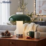 Bild in Gallery-Viewer laden, Nera Elegante Moderne Akzentlampe mit Organischem Kurvendesign - Wohn- und Büro-Lounge-Dekor