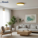 Charger l'image dans la visionneuse de galerie, Lumiflexa Profil Élégant Lampe Plafonnier Moderne - Design Scandinave pour Chambre et Cuisine