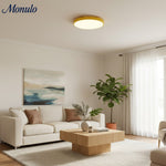 Charger l'image dans la visionneuse de galerie, Lumiflexa Profil Élégant Lampe Plafonnier Moderne - Design Scandinave pour Chambre et Cuisine