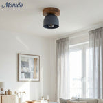 Load image into Gallery viewer, Metio Dome Scandinavian Oak Flush Mount Ceiling Light – Modern Minimalist Design for Living Room & Bedroom