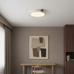 Load image into Gallery viewer, Metra Ceiling Light