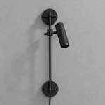 Bild in Gallery-Viewer laden, Spot Rail Brass Plug-In Wall Light - product image 19