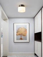 Load image into Gallery viewer, Minimalist Flush Mount Ceiling Light – Classic Shape For Hallway Use