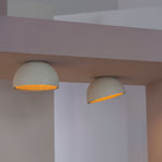Charger l'image dans la visionneuse de galerie, Lampe de plafond Duo