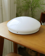 Load image into Gallery viewer, Wickes Flush Ceiling Light