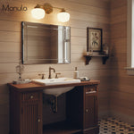 Bild in Gallery-Viewer laden, Opalume Metal Canopy Globe Vanity Sconce — Übergangs-Art-Deco-Wandleuchte