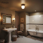 Load image into Gallery viewer, Opalume Glass Dual Purpose Light – Stylish Ceiling and Wall Mountable Fixture for Modern Homes