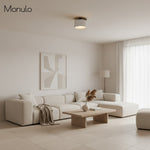 Load image into Gallery viewer, Cerova Contemporary Porcelain Flush Mount Ceiling Light – Soft Ambient Illumination for Hallways and Offices