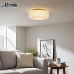 Load image into Gallery viewer, Pelviona Ribbed Glass Ceiling Light - Contemporary Minimalist Ceiling Fixture for Living Room or Dining Area