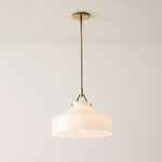 Load image into Gallery viewer, Hanton Nordic Metal Morandi Metal Pendant Light - Nordic Minimalist Fixture Light