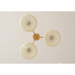 Load image into Gallery viewer, Elliptical Persimmon Chandelier