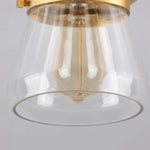 Load image into Gallery viewer, clear glass shade close-up