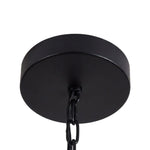 Bild in Gallery-Viewer laden, Lirra Vintage Eisen-Glas-Hängeleuchte – Deckenleuchte im Industrie-Stil für Bars und Wohnungen U20