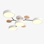 Bild in Gallery-Viewer laden, Celos Diffuses LED-Kugel-Deckenleuchte – Stilvolle Innenbeleuchtung für Inseln und Nischen