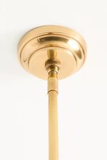 Load image into Gallery viewer, Auriglow Enameled Brass Pendant With Clover Cutout Shade