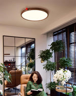 Load image into Gallery viewer, Geos LED Ceiling Light