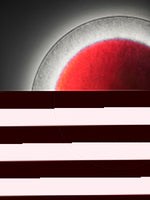 Cargar imagen en el visor de la Galería, Lámpara de pared redonda enchufable moderna y sencilla M26