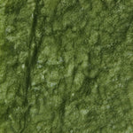 Bild in Gallery-Viewer laden, Close-up of natural green jade stone texture