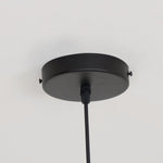 Load image into Gallery viewer, Baer Pendant Light