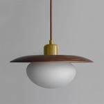 Load image into Gallery viewer, Vireo Pendant Lamp