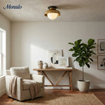 Bild in Gallery-Viewer laden, Hanton Aufputz-Deckenleuchte – Modernes minimalistisches Leuchtmittel mit Milchglas- und Metallschirm