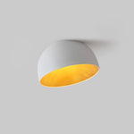 Charger l'image dans la visionneuse de galerie, Lampe de plafond Duo