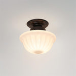 Load image into Gallery viewer, Ritten Ceiling Light