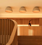 Charger l'image dans la visionneuse de galerie, Lampe de plafond Duo
