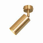 Load image into Gallery viewer, Brass Ceiling Spotlight full product view
