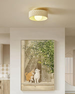 Bild in Gallery-Viewer laden, Brito Deckenleuchte