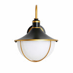 Bild in Gallery-Viewer laden, Black and Gold Outdoor Wall Lantern