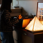 Bild in Gallery-Viewer laden, Fragment Tischlampe