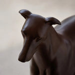 Cargar imagen en el visor de la Galería, greyhound head detail