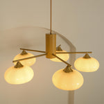 Load image into Gallery viewer, Elliptical Persimmon Chandelier