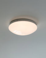 Load image into Gallery viewer, Wickes Flush Ceiling Light