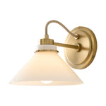 Cargar imagen en el visor de la Galería, Aplique de pared Aurenza con brazo curvo y forma de globo: lámpara de pared industrial moderna para baño, dormitorio y pasillo.