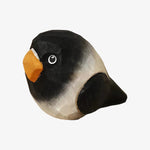 Cargar imagen en el visor de la Galería, Charcoal-black parrot